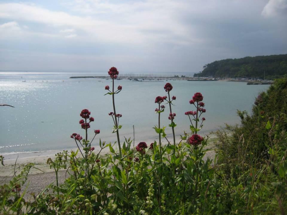 Cap Morgat Chez Jean Apartment โครซง ภายนอก รูปภาพ